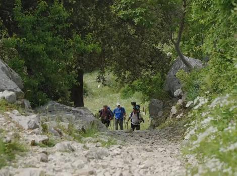 Due giorni di trekking nei boschi di Cesi