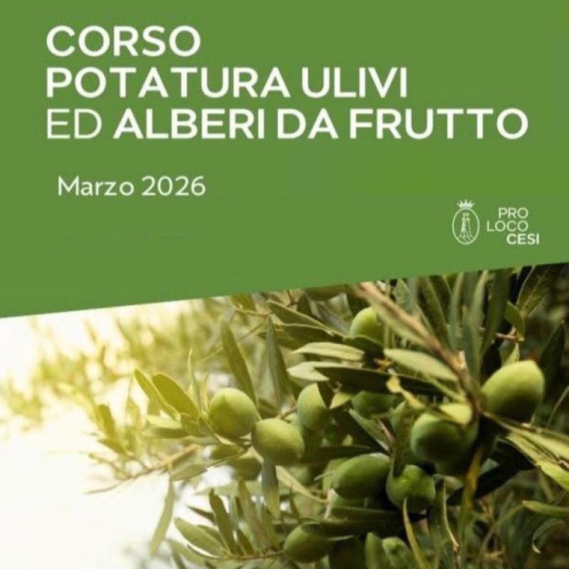 Corso potatura ulivi