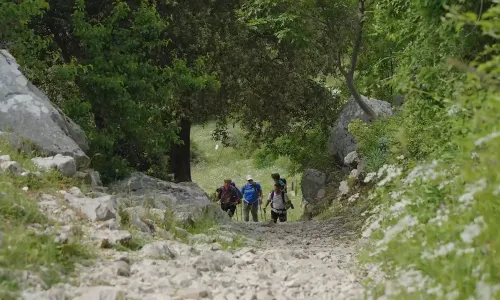 Due giorni di trekking nei boschi di Cesi